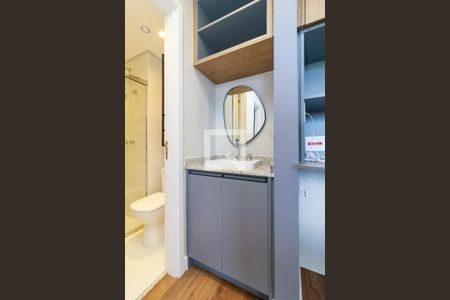 Lavabo de apartamento para alugar com 2 quartos, 48m² em Vila Sao Francisco (zona Sul), São Paulo