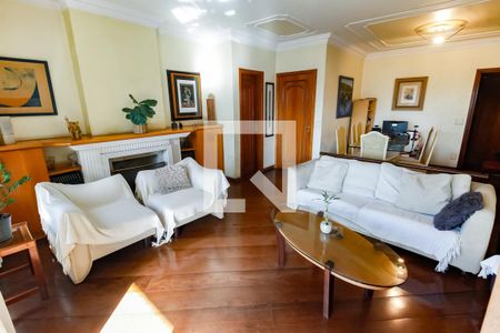 Apartamento para alugar em Vila Suzana