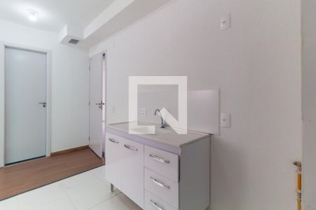 Cozinha de apartamento para alugar com 2 quartos, 33m² em Quinta da Paineira, São Paulo