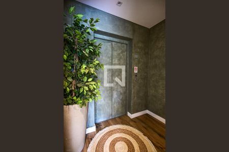 Hall do Elevador de apartamento para alugar com 3 quartos, 118m² em Vila Sonia, São Paulo