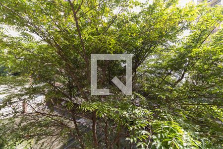 Vista do Quarto 1 de apartamento à venda com 2 quartos, 52m² em Jardim Celeste, São Paulo