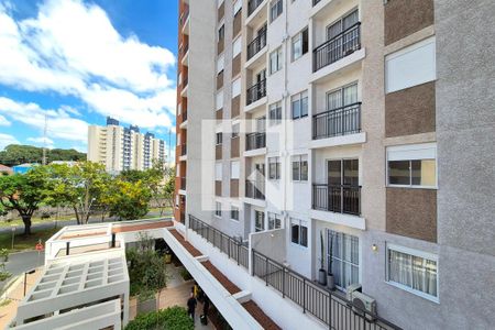 Vista do Quarto 1  de apartamento à venda com 2 quartos, 57m² em Conceicao, Campinas