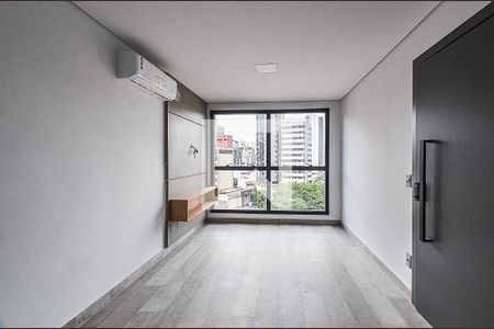 Sala Ambientes de apartamento para alugar com 2 quartos, 60m² em Lourdes, Belo Horizonte