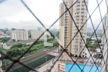 Vista de apartamento para alugar com 2 quartos, 61m² em Jardim Iris, São Paulo
