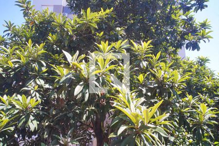 Quarto 2 de apartamento à venda com 2 quartos, 56m² em Jardim Europa, Porto Alegre