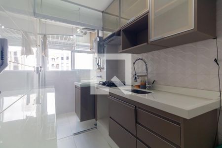 Cozinha de apartamento para alugar com 2 quartos, 48m² em Quinta da Paineira, São Paulo