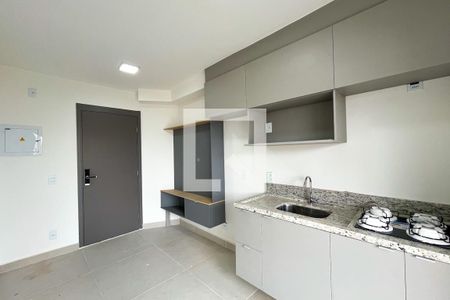 Sala/Cozinha de apartamento para alugar com 1 quarto, 28m² em Vila Dom Pedro Ii, São Paulo