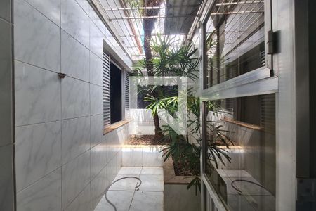 Sala - Jardim de inverno  de casa para alugar com 5 quartos, 500m² em Quinta da Paineira, São Paulo