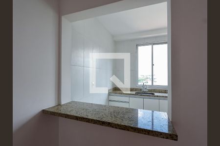 Sala/Cozinha de apartamento para alugar com 2 quartos, 80m² em Havaí, Belo Horizonte