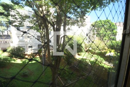 Sala - Vista de apartamento para alugar com 3 quartos, 74m² em Chácara da Barra, Campinas