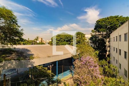 Apartamento para alugar com 3 quartos, 86m² em Conceição, São Paulo