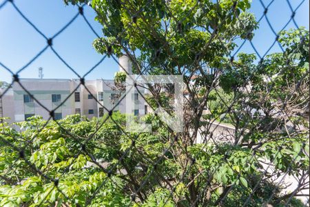 Vista do Quarto 1 de apartamento para alugar com 2 quartos, 47m² em Parque São Jorge, Campinas