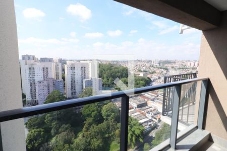 Sala/Cozinha de apartamento para alugar com 3 quartos, 74m² em Bela Vista, Osasco