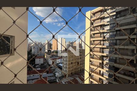 Apartamento para alugar com 3 quartos, 133m² em Centro, Campinas