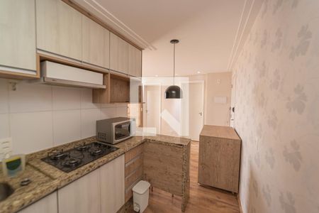 Cozinha de apartamento para alugar com 2 quartos, 50m² em Jardim Santa Teresinha, São Paulo