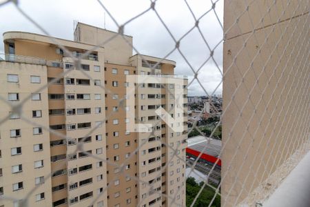 Sala Varanda  de apartamento para alugar com 3 quartos, 74m² em Interlagos, São Paulo
