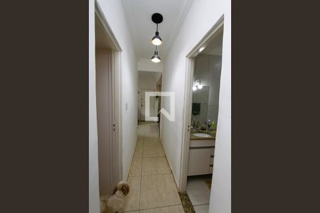 Corredor de apartamento à venda com 3 quartos, 76m² em Padre Eustáquio, Belo Horizonte