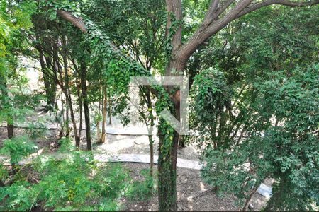 Apartamento para alugar com 1 quarto, 17m² em Vila Jaguara, São Paulo