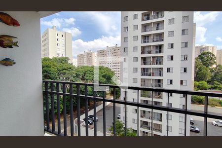 Apartamento para alugar com 2 quartos, 55m² em Jardim Iris, São Paulo