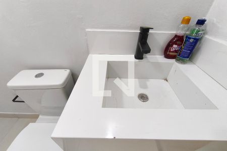 Banheiro de apartamento para alugar com 2 quartos, 55m² em Jardim do Lago Continuacao, Campinas