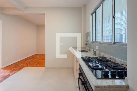 Cozinha de apartamento à venda com 2 quartos, 46m² em Vila Mariana, São Paulo