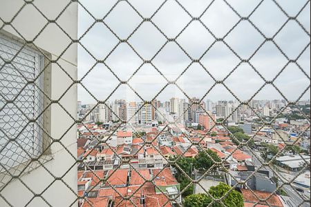 Vista da Sala de apartamento para alugar com 2 quartos, 56m² em Ferrazópolis, São Bernardo do Campo