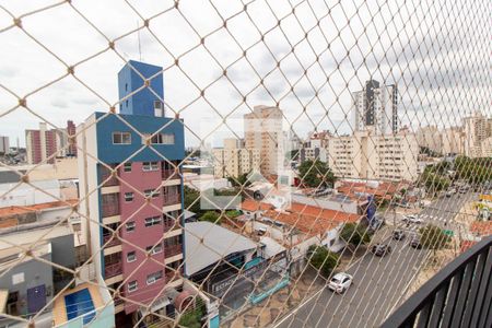 VISTA DA SACADA de apartamento para alugar com 3 quartos, 70m² em Vila Itapura, Campinas