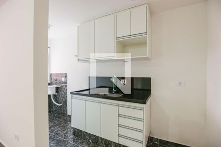 Cozinha e Área de Serviço de apartamento para alugar com 1 quarto, 42m² em Vila Sonia, São Paulo