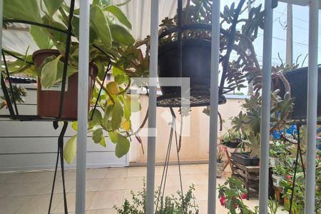 Vista da Sala  de casa para alugar com 3 quartos, 281m² em Parque Santa Bárbara, Campinas