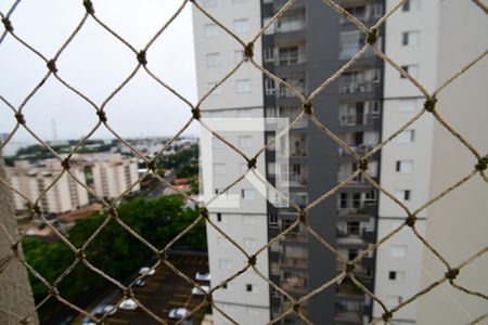 Quarto 1 - Vista de apartamento para alugar com 2 quartos, 69m² em Mansões Santo Antônio, Campinas