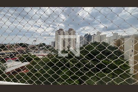 Apartamento para alugar com 2 quartos, 61m² em Chácara Primavera, Campinas