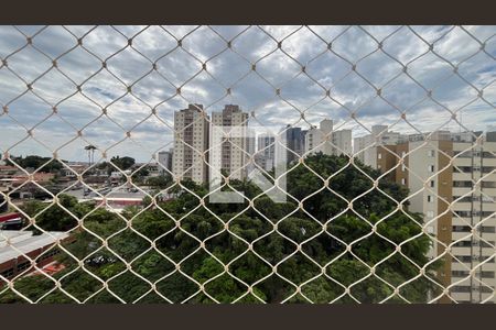 Apartamento para alugar com 2 quartos, 61m² em Chácara Primavera, Campinas