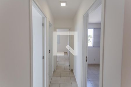 Corredor de apartamento para alugar com 3 quartos, 70m² em Nova Vista, Belo Horizonte