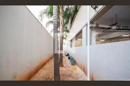 Foto 16 de apartamento à venda com 1 quarto, 40m² em Umuarama, Osasco
