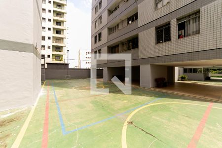 Quadra Esportiva de apartamento para alugar com 3 quartos, 80m² em Cidade Nova, Belo Horizonte