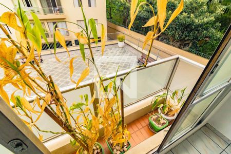 Apartamento para alugar com 2 quartos, 60m² em Jabaquara, São Paulo