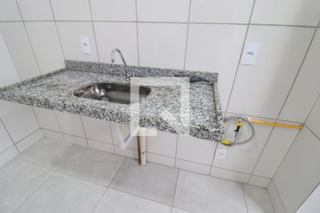 Cozinha de apartamento para alugar com 2 quartos, 46m² em Chácaras Tubalina E Quartel, Uberlândia