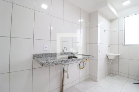 Cozinha de apartamento para alugar com 2 quartos, 46m² em Chácaras Tubalina E Quartel, Uberlândia