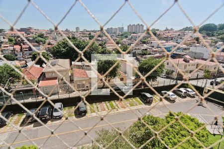 Apartamento para alugar com 2 quartos, 65m² em Parque Maria Domitila, São Paulo