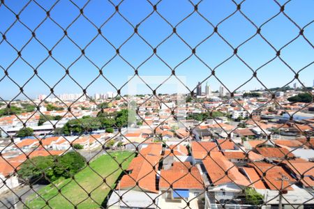 Apartamento para alugar com 2 quartos, 70m² em Vila Industrial (Campinas), Campinas