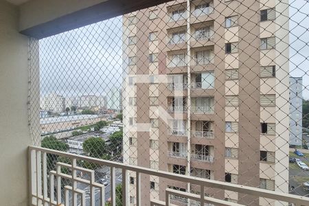 Varanda da Sala de apartamento à venda com 3 quartos, 65m² em Baeta Neves, São Bernardo do Campo