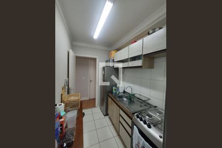 Cozinha - Armários de apartamento à venda com 2 quartos, 57m² em Vila Liviero, São Paulo