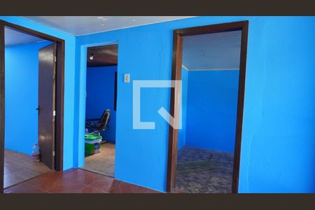 Cozinha  de casa para alugar com 2 quartos, 60m² em Santa Tereza, Porto Alegre