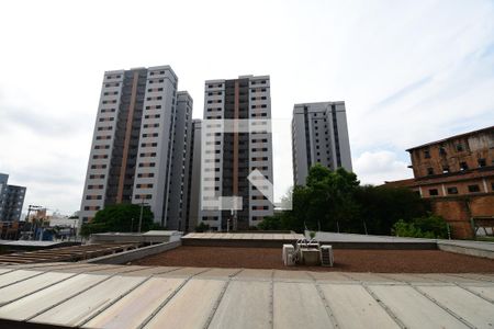 Quarto 1 - Vista de apartamento para alugar com 2 quartos, 54m² em Bonfim, Campinas