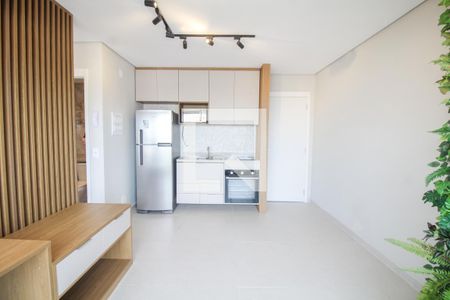 Sala/Cozinha de kitnet/studio para alugar com 1 quarto, 30m² em Belenzinho, São Paulo