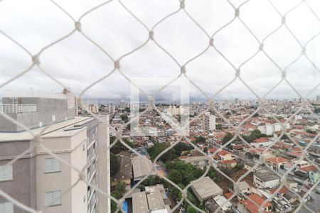 Apartamento à venda com 3 quartos, 96m² em Vila Gustavo, São Paulo