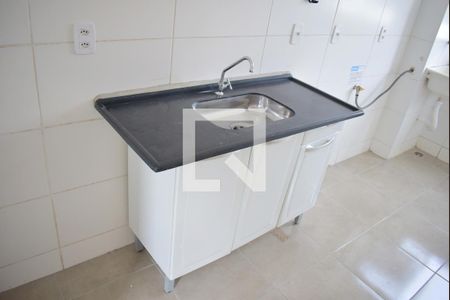 Cozinha - Armários de apartamento para alugar com 2 quartos, 48m² em Valentina Figueiredo, Ribeirão Preto