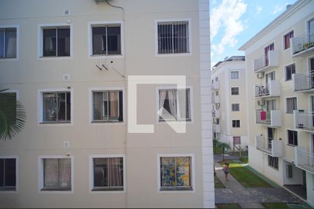 Vista do Quarto 1 de apartamento à venda com 2 quartos, 52m² em Santos Dumont, São Leopoldo