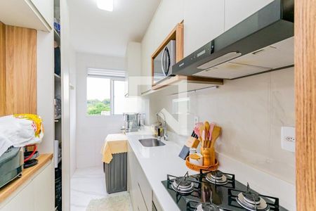 Cozinha de apartamento para alugar com 2 quartos, 44m² em Costa E Silva, Porto Alegre