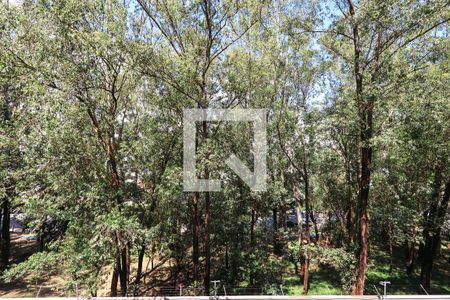 Quarto 1 de apartamento para alugar com 3 quartos, 55m² em Jardim Santa Emilia, São Paulo